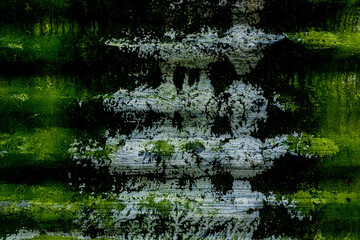 grass and water