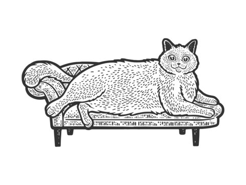 Fat cat on sofa ottoman sketch engraving vector illustration. T-shirt apparel print design. Scratch board imitation. Black and white hand drawn image.