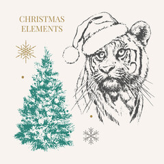 Tiger in Christmas hat. Print on a postcard or poster. Vector illustration. Holiday card. New Year's and Christmas. Santa Claus.