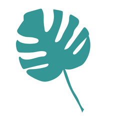 tropical leaf in blue color for decaration