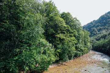 Fototapeta premium beautiful mountain river and green forest landscape travel