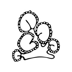 Doodle style sea coral reef. Invertebrates are an animal of the seabed. Coral polyp skeleton. Aquarium decor. Algae of the ocean. Hand drawn thin line art vector illustration. Isolated simple element.