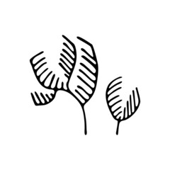 Doodle style seaweed. Marine coral reef. Seabed plant. Aquarium decor. Algae of the ocean. Hand drawn thin line art vector illustration. Isolated simple element.