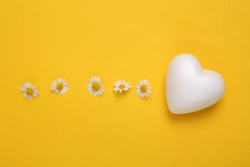 Blooming chamomile flowers and heart on a yellow background
