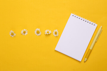 Blooming chamomile flowers and notebook on a yellow background