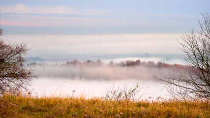 Autumn forest in the fog. Treetops above the fog.
