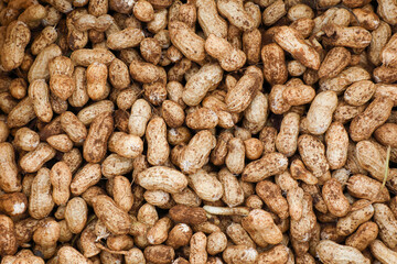 Pile of fresh organic peanuts in field	
