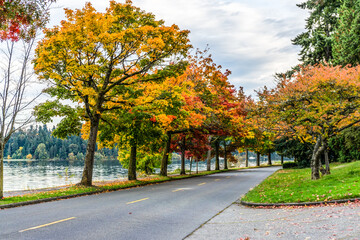 Scenic Fall Shoreline Landscape 8