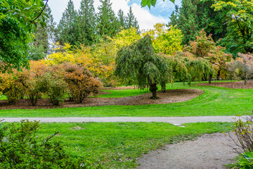 Fototapeta na wymiar Washington Park Arboretum Autumn Path 9