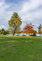 Naklejka premium Autumn Lake Shoreline Colors 6