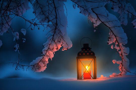 Candle lantern under the snowy branches at dusk. Christmas time in a wintery garden.