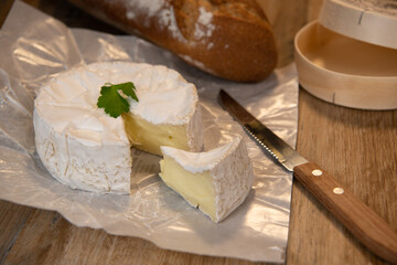 Camembert cheese on a wooden background