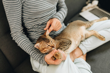 Obraz premium Adult woman sitting on a sofa and playing with a cat