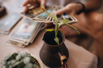 Middle-aged professional tarologist having session