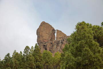 Roque Nublo von hinten
