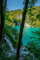 Fototapeta premium Plitvice Lakes National Park in Croatia