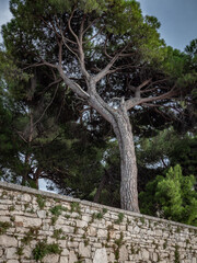 The ancient architecture in city Porec