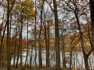 Foto auf Leinwand trees in autumn © Choroq-Zadelkhair