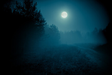 Full moon over the rural road through the forest at the night. Halloween background.