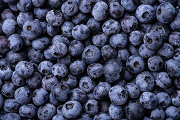 Fresh blueberries close-up. Berry background.