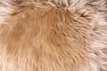 Fur texture top view. Brown fur background. Fur pattern. Texture of brown shaggy fur. Wool texture....