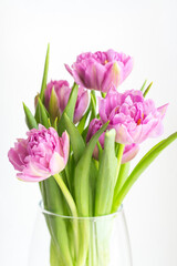 Romantic delicate bouquet of pink tulips in a glass vase on a white background, close-up. Greeting card for Mother's Day, 8 March. Floristics, flower shop. The freshness of a spring morning. Vertical.