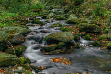 Sumny and Bily creek in autumn morning in Jeseniky mountains