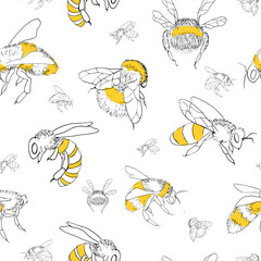 Seamless pattern with various bees isolated on white background. In sketch style. Lively graphic illustration perfect for decoration wrapping honey products, fabric, textiles.