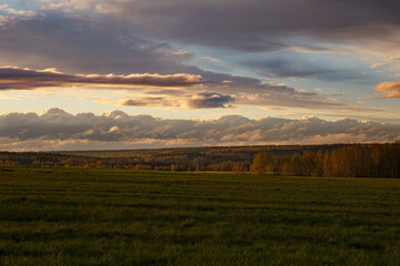 Fototapeta premium evening rural landscape with fields and forest in autumn