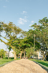 Fototapeta na wymiar um céu azul exuberante para passar o dia no parque arborizado no centro da cidade grande