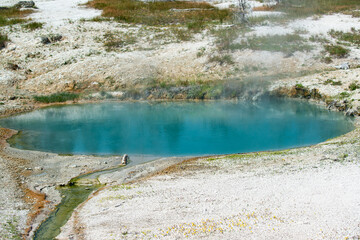 Hot pool in Yellowstone