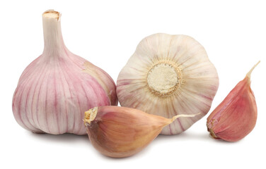 garlic on white background isolated