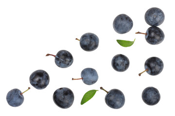 Cherry plum isolated on white, top view