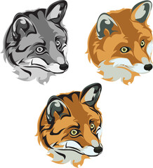 Fox, portrait, color, fox's snout, vector, silhouette, portrait of foxes in different versions