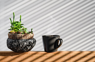 Succulents in a handmade pot on a light background, next to a cup with strong coffee, lunch break, selective focus. Decoration for home or office. Hard shadows from blinds in sunlight 