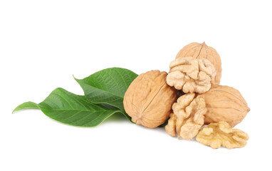 Walnuts isolated on white background
