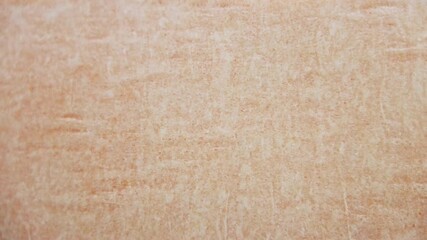 Close up on a paper tape. Packaging paper tape is used to seal cardboard box - Powered by Adobe