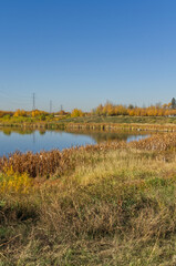 Pylypow Wetlands on a Clear Autumn Day