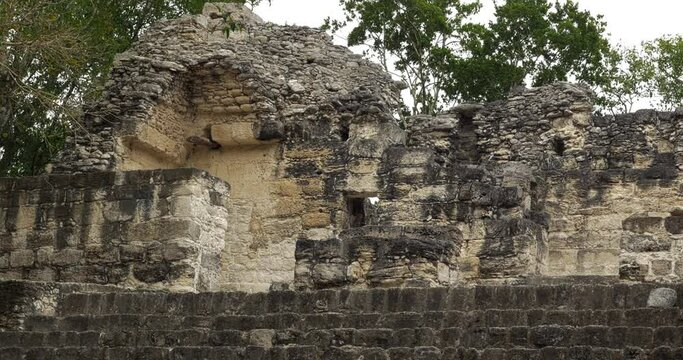 Structures in the Maya city of Calakmul, in Campeche, Mexico