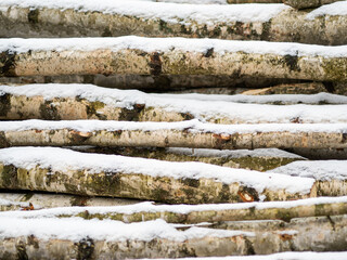 Stos drewna pokryty śniegiem, gałęzie brzozy 