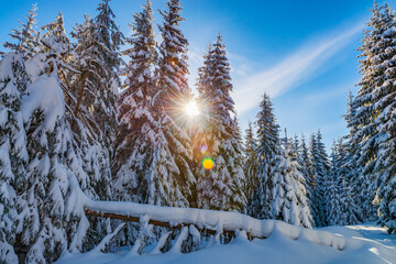Amazing Christmas landscape