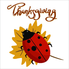 Hand drawn ladybug on maple leaf, letterin Thanksgiving, print on t-shirt, bag, invitations.