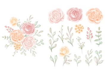 Set of Luxury Isolated Peach Rose Flower Clipart