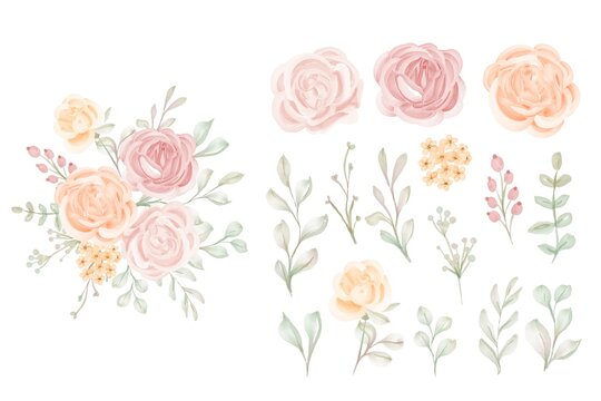 Set of Luxury Isolated Peach Rose Flower Clipart