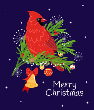 Vector Christmas red cardinal bird greeting card on blue background. Red cardinal sitting on pine branch and hold gold bell. Merry Christmas text. Flat style