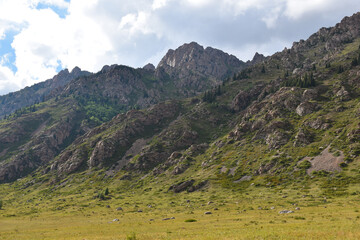Naklejka premium landscape with mountains