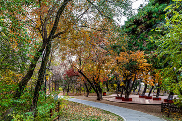 Autumn scenery of Baimu Garden in Changchun, China