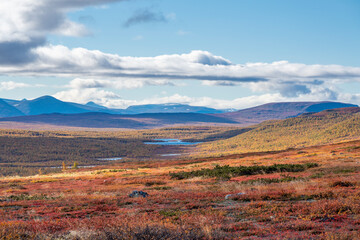 Vivid Autumn coloured Panorama Landscape in Remote wilderness of arctic Pieljekaise National Park South of Jakkvik, Sweden on a sunny autumn day with yellow and orange colors in nature. © Sebastian