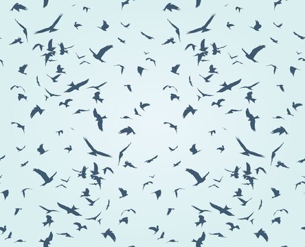 A seamless background with flight of birds.