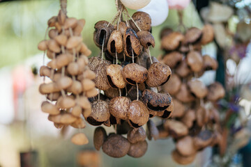 various percussion instruments from seeds for meditation and relaxation